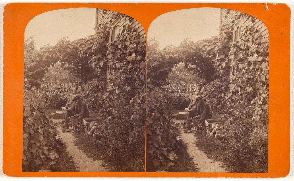 Elisha M. Van Aken:[Elderly couple seated on steps of house , Poster Print Wall Art