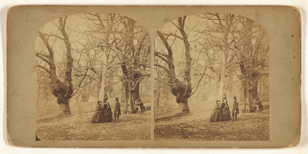 Unknown maker, British:Christ Church Park, Ipswich., Poster Print Wall Art