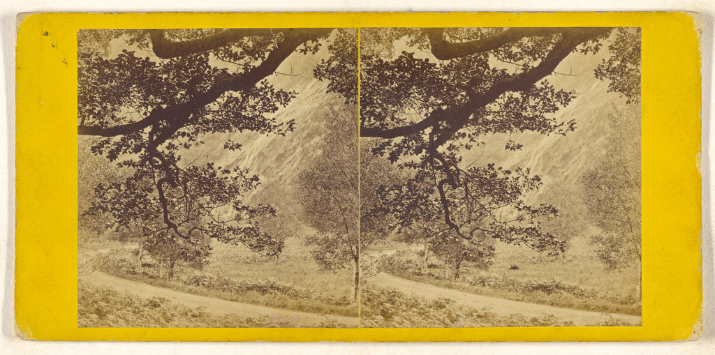 Unknown maker, British:Powerscourt Waterfall, Co. Wicklow., Poster Print Wall Art