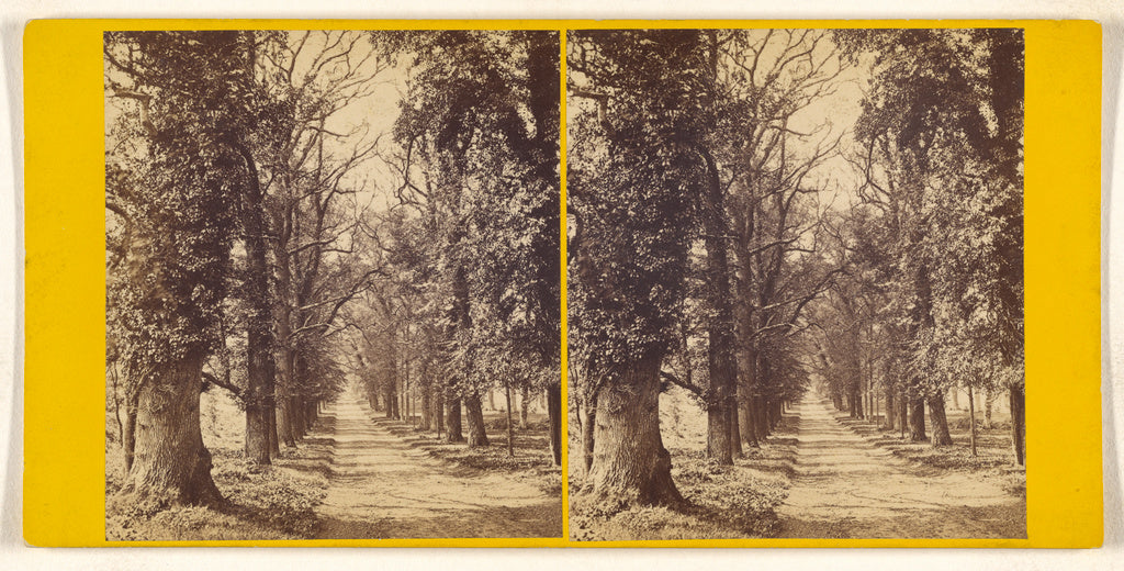 Unknown maker, British:Bramshill Park, Hants. - Seat of Sir , Poster Print Wall Art