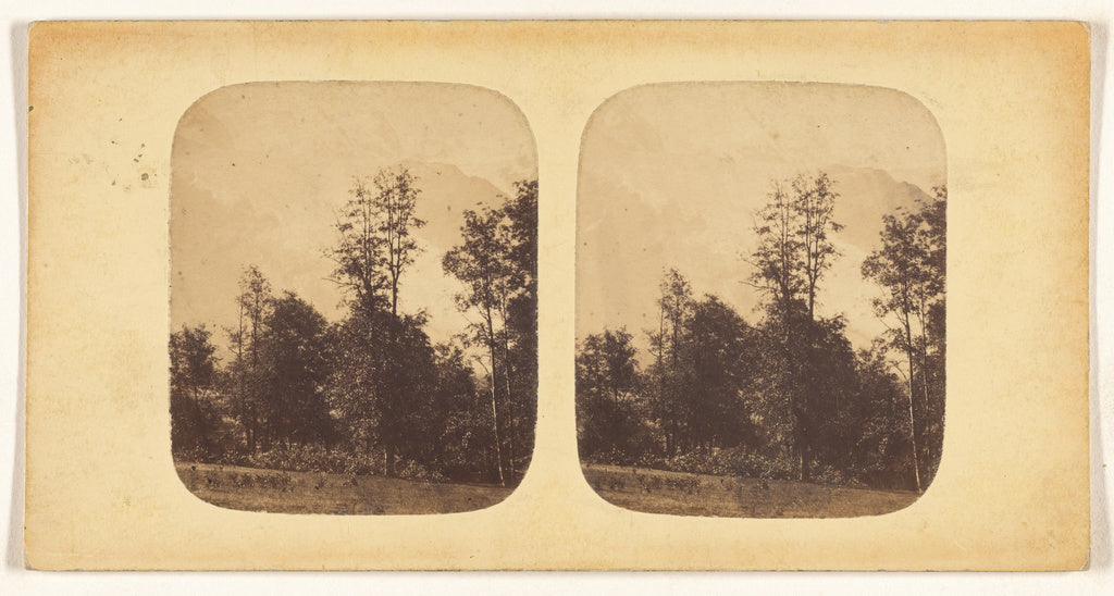 Unknown maker, French:Etude d'arbres et Dome du Gouter (vall, Poster Print Wall Art