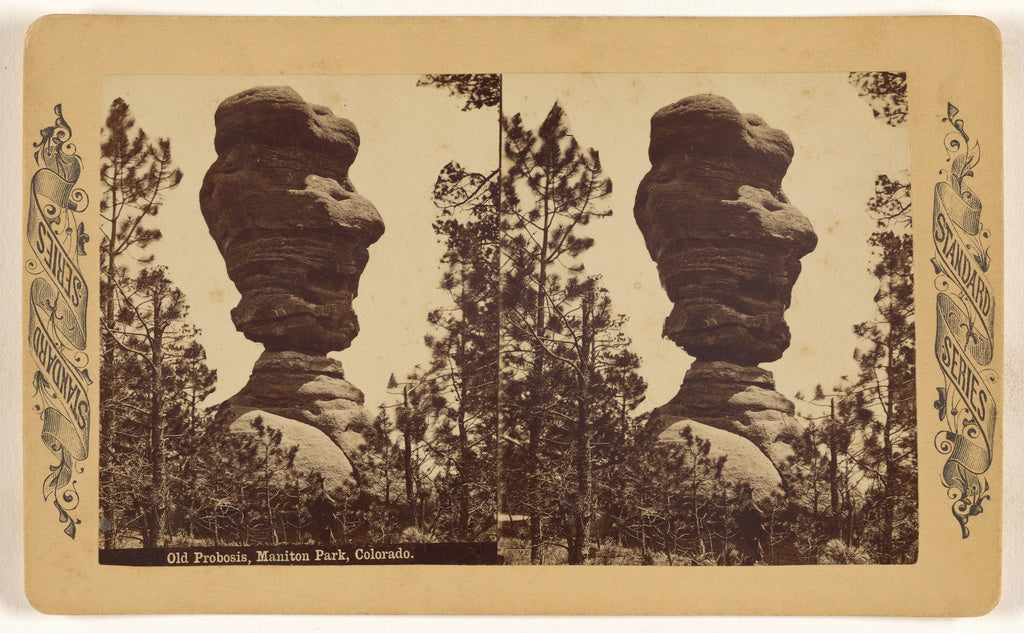 Unknown maker, American:Old Probosis, Manitou Park, Colorado, Poster Print Wall Art
