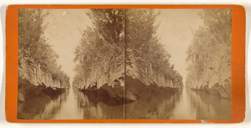 Unknown maker, American:Canal in the Southern Part of Florid, Poster Print Wall Art