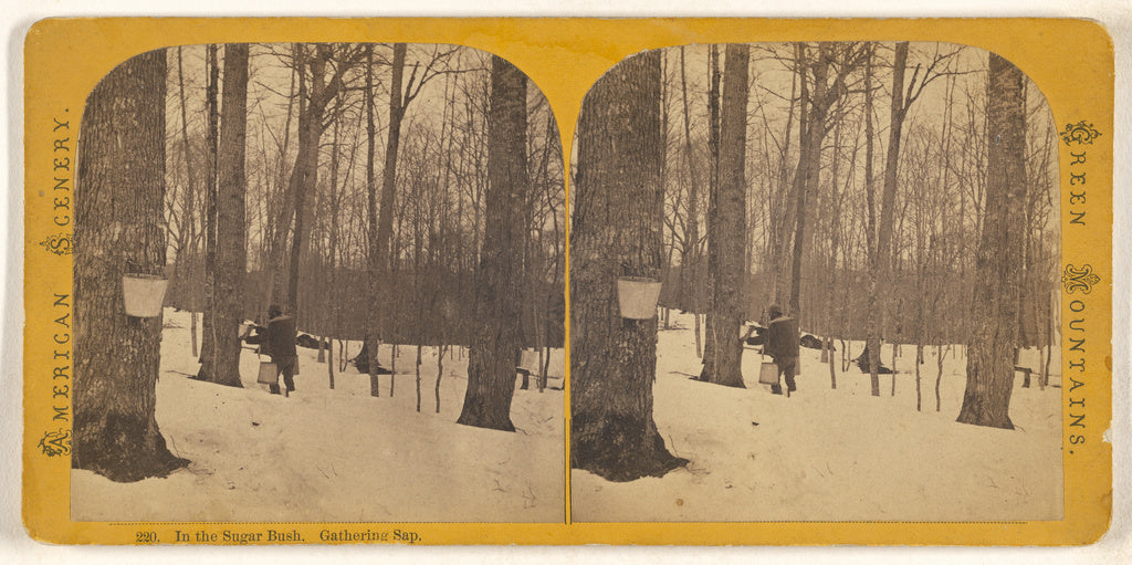 Unknown maker, American:In the Sugar Bush. Gathering Sap. [G,16x12"(A3)Poster