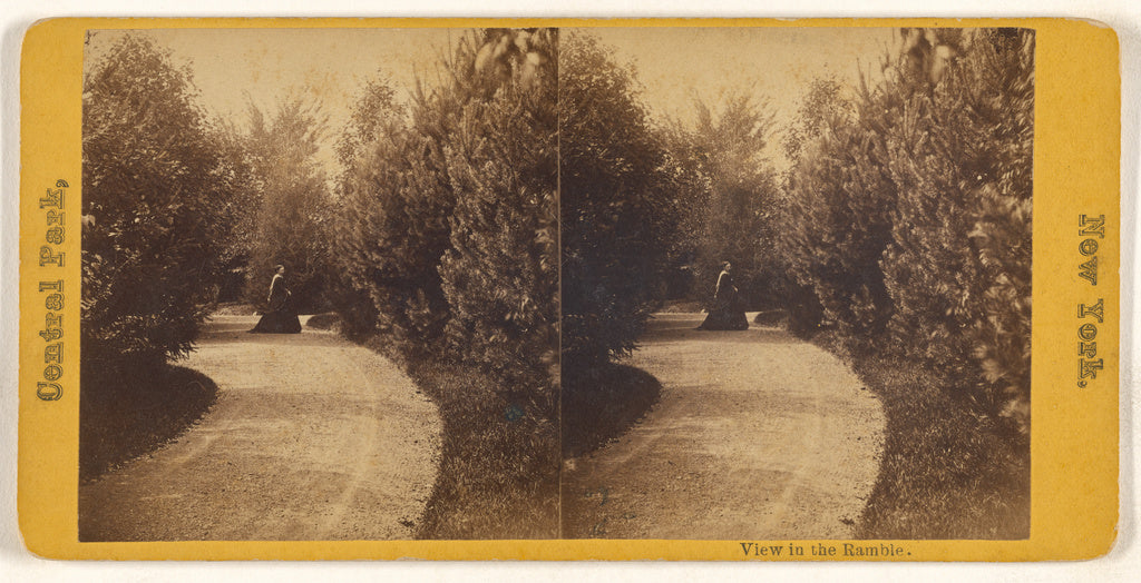 Unknown maker, American:View in the Ramble. Central Park, Ne, Poster Print Wall Art