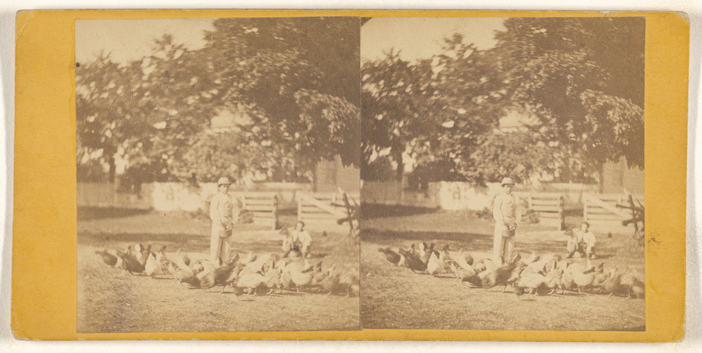 Unknown maker, American:[Feeding chickens on Woods Farm near, Poster Print Wall Art