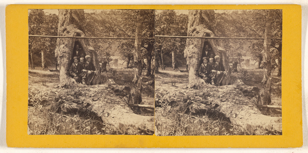 Unknown maker, American:[Hollow Sycamore, Oil Creek, Pennsyl, Poster Print Wall Art