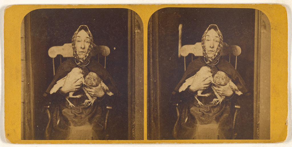 S.F. Adams:[Nancy Luce holding two owls to her chest: Inkey , Poster Print Wall Art