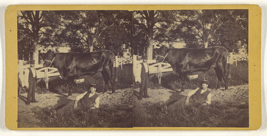 Unknown maker, American:[Two men and a cow, one of the men i, Poster Print Wall Art