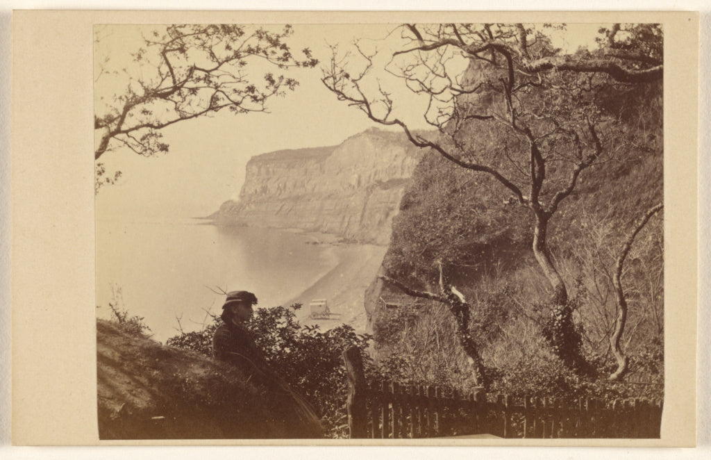 Brown & Wheeler:Shanklin Beach & Cliffs, Poster Print Wall Art