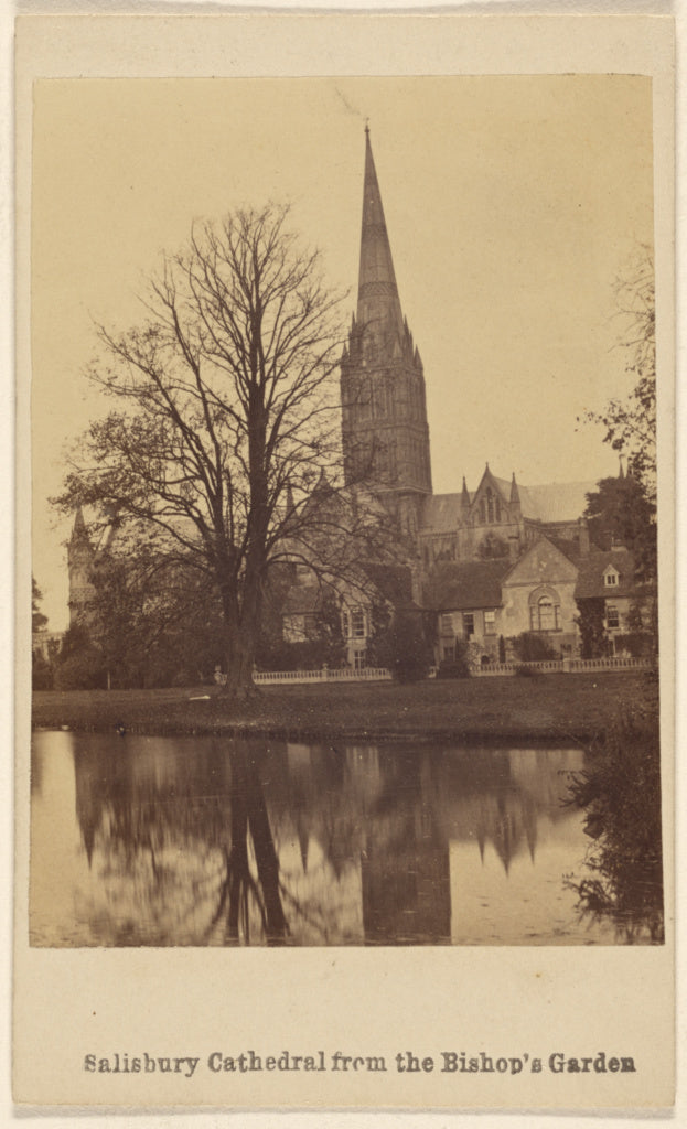 Unknown maker, British:Salisbury Cathedral from the Bishop's, Poster Print Wall Art