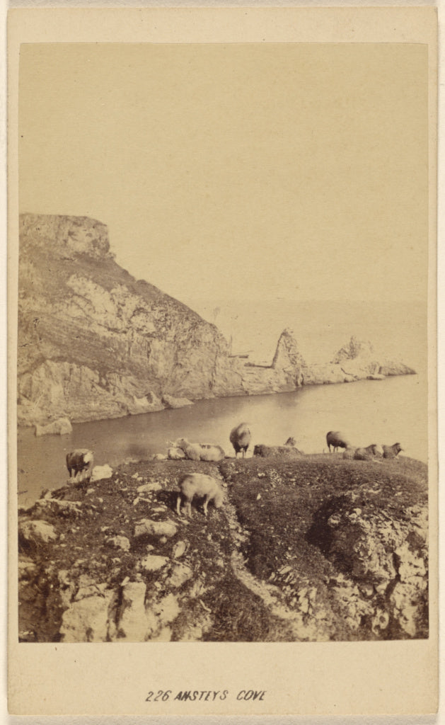 William Spreat:Ansteys Cave., Poster Print Wall Art