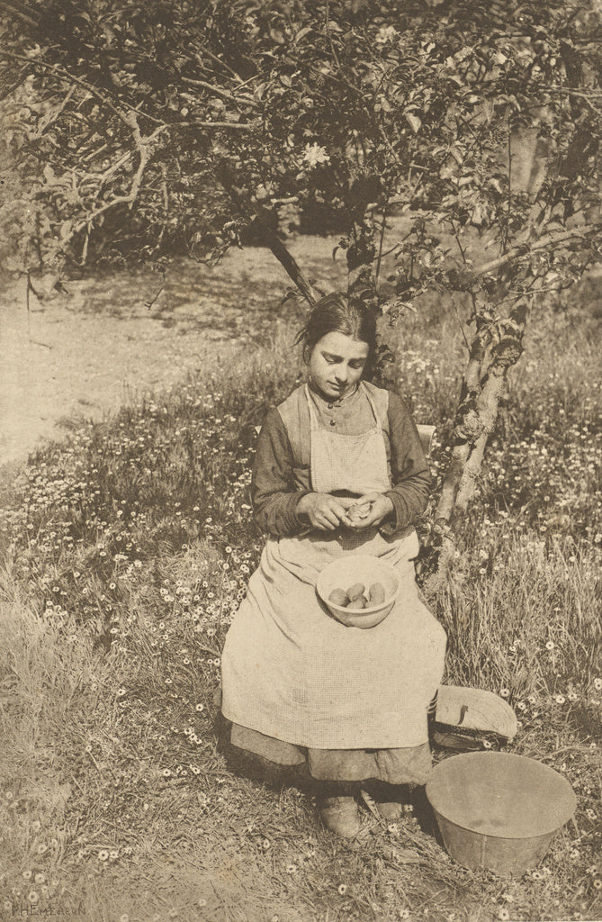 Peter Henry Emerson:A Spring Idyl, Poster Print Wall Art