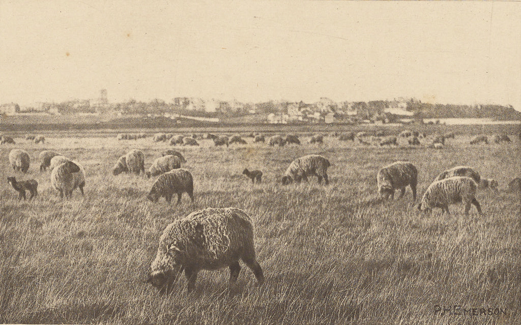 Peter Henry Emerson:On Southwold Marshes, Poster Print Wall Art