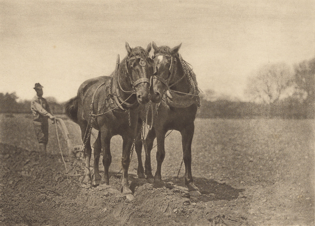 Peter Henry Emerson:At Plough - The End of the Furrow, Poster Print Wall Art