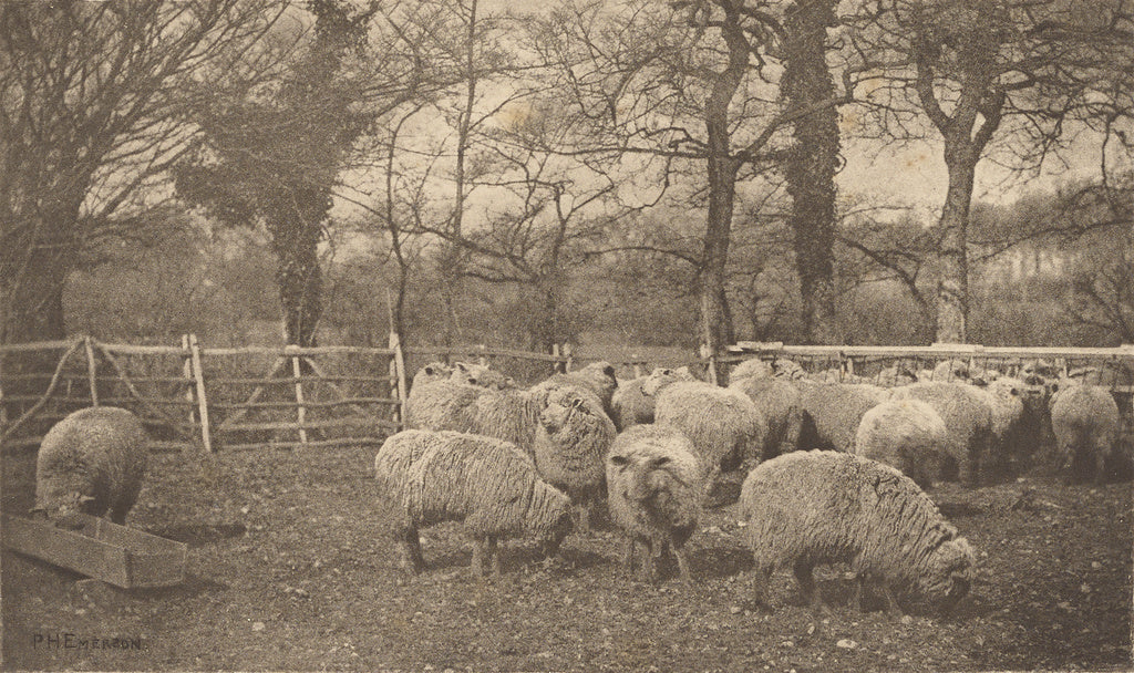 Peter Henry Emerson:An Autumn Pastoral, Poster Print Wall Art