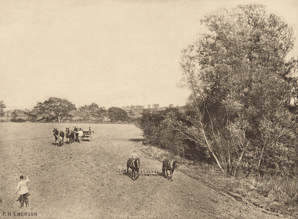 Peter Henry Emerson:In the Barley-Sele, Poster Print Wall Art