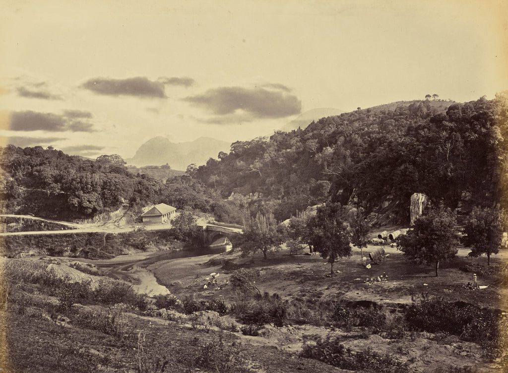 Unknown maker:Coonoor Bridge and Droog, Poster Print Wall Art