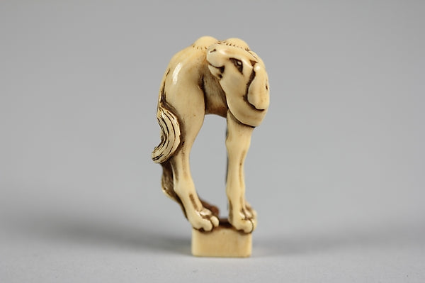 Netsuke of a Camel 19th cent, Poster Print