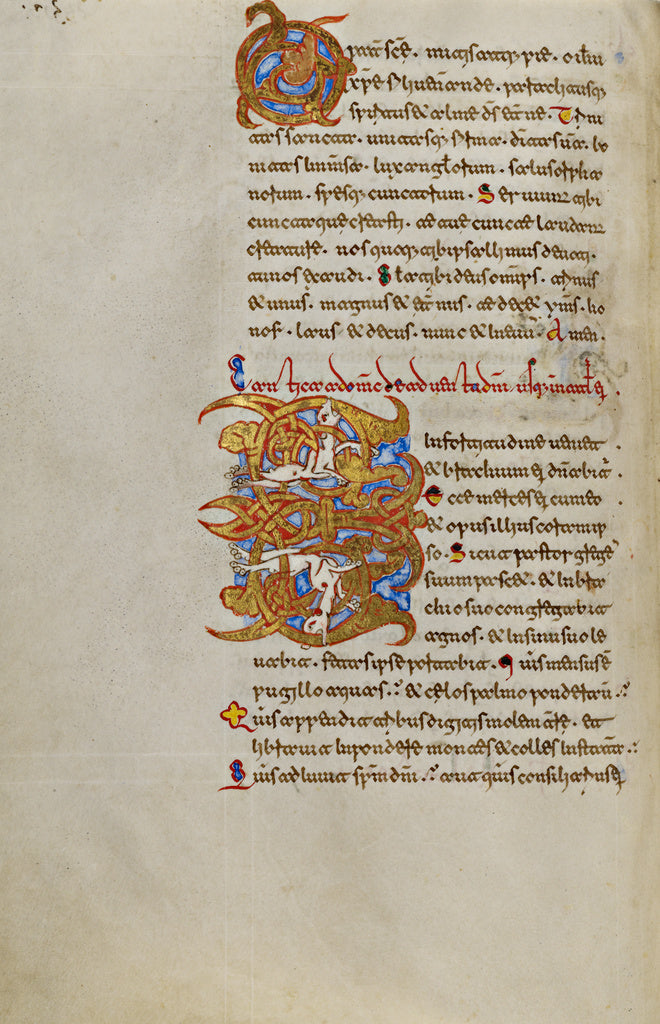 Unknown:Decorated Initial O; Inhabited Initial E, Poster Print Wall Art