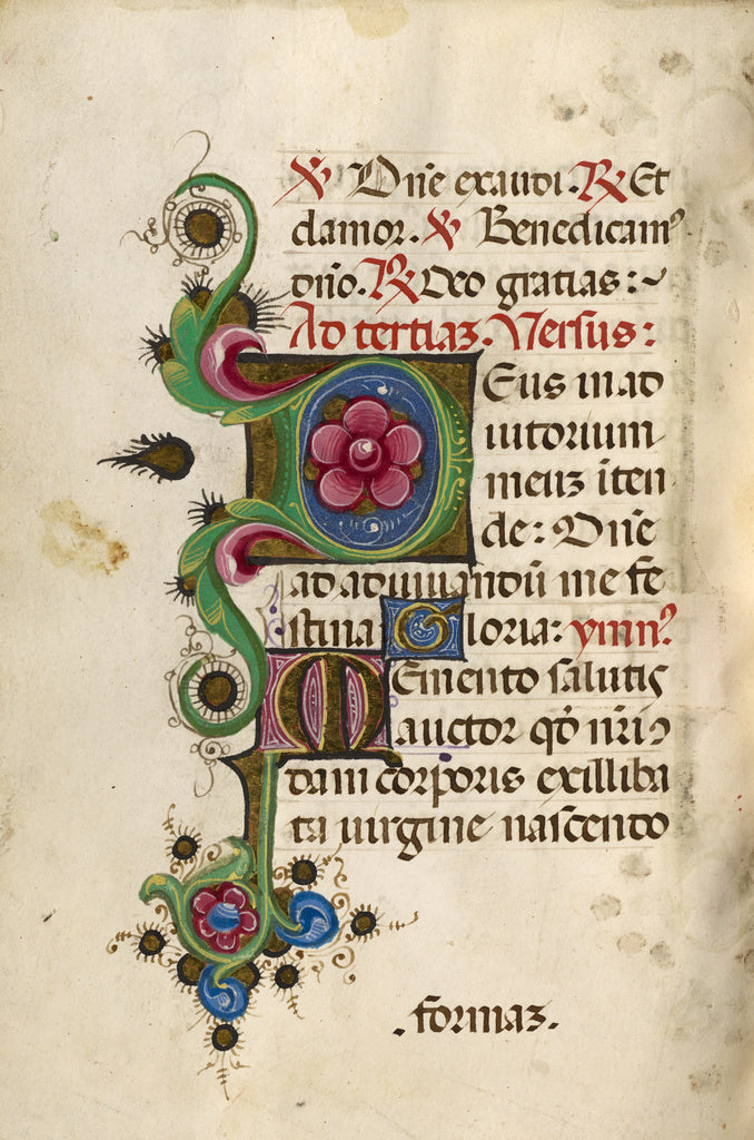 Unknown:Decorated Initial D; Decorated Initial M, Poster Print Wall Art
