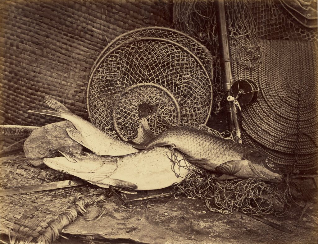 Henry Bailey:Still Life with Carp and Pike, Poster Print Wall Art