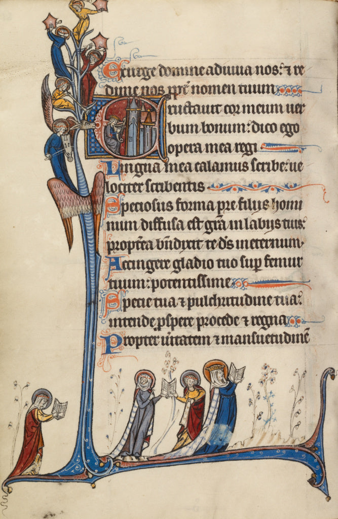 Bute Master:Initial E: David Playing the Harp, Poster Print Wall Art