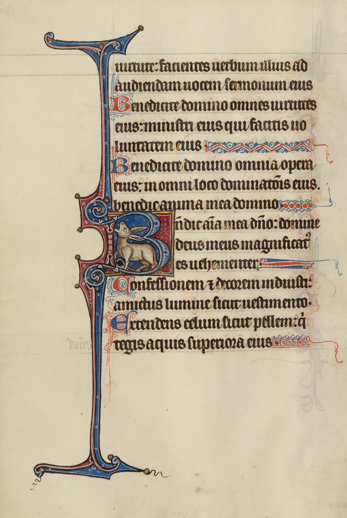 Bute Master:Initial B, Poster Print Wall Art