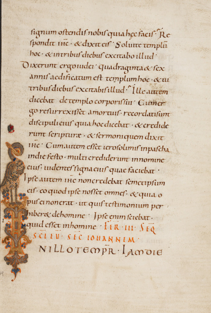 Unknown:Inhabited Initial I, Poster Print Wall Art