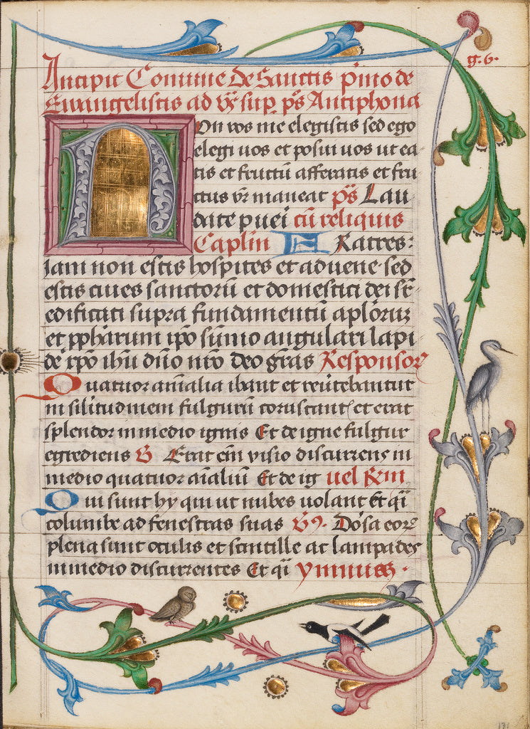 Unknown:Decorated Initial N, Poster Print Wall Art