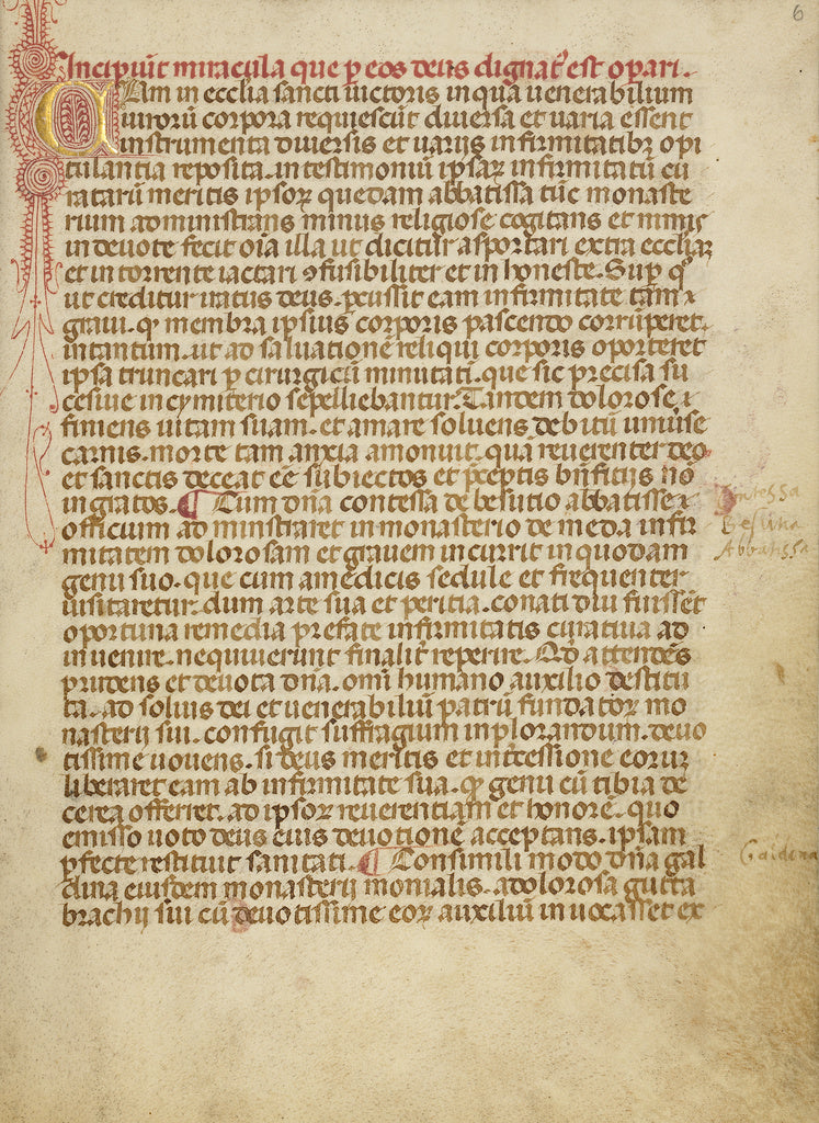 Anovelo da ImbonateAttributed to:Decorated Initial C, Poster Print Wall Art