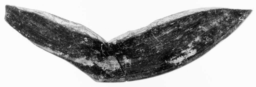 Unknown:Bucchero Fragment (comprised of two joined fragments, Poster Print Wall Art