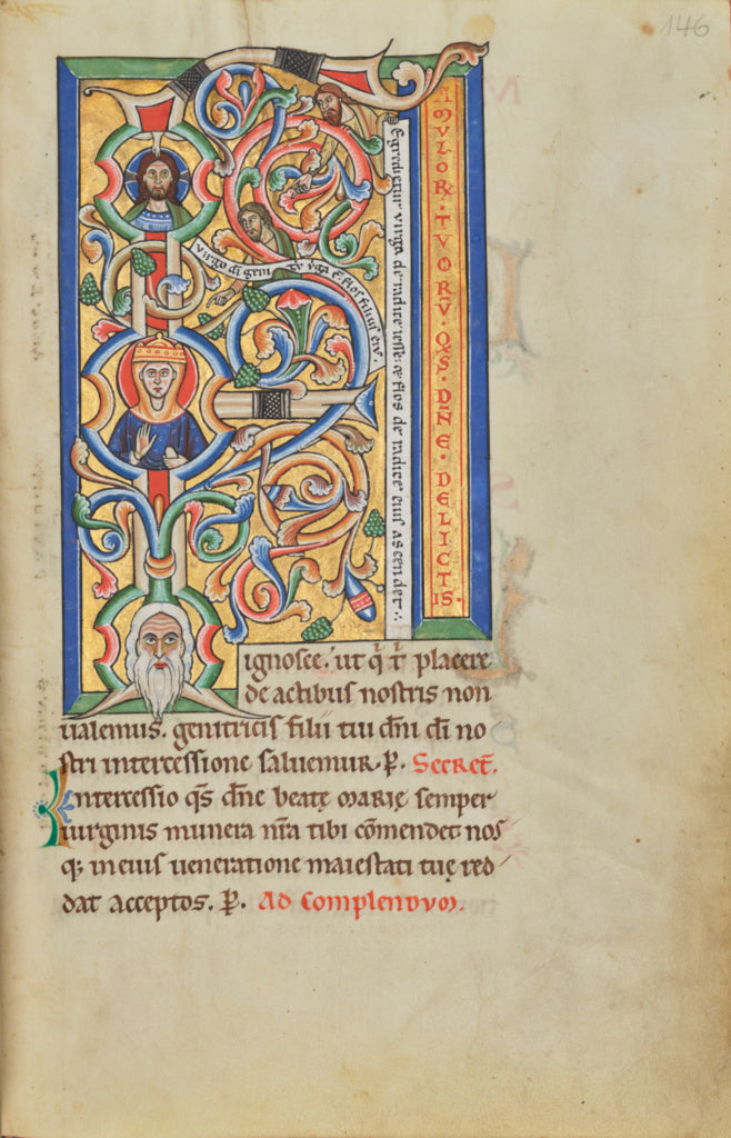 Unknown:Initial F: The Tree of Jesse, Poster Print Wall Art