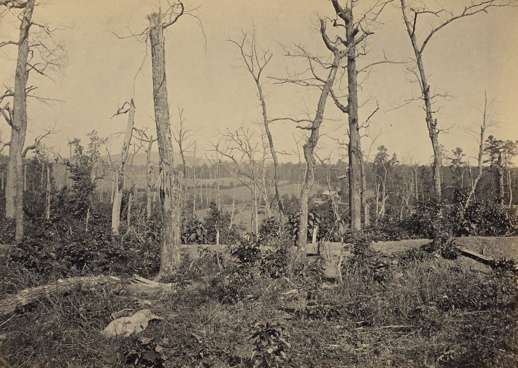 George N. Barnard:Battle Ground of Resacca, Georgia, No. 3, Poster Print Wall Art