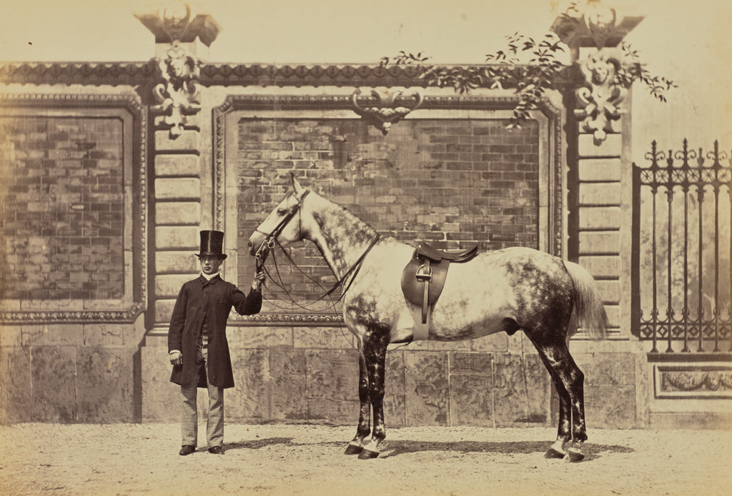 Louis-Jean Delton:Cheval de chasse du Prince de Sagan, Poster Print Wall Art