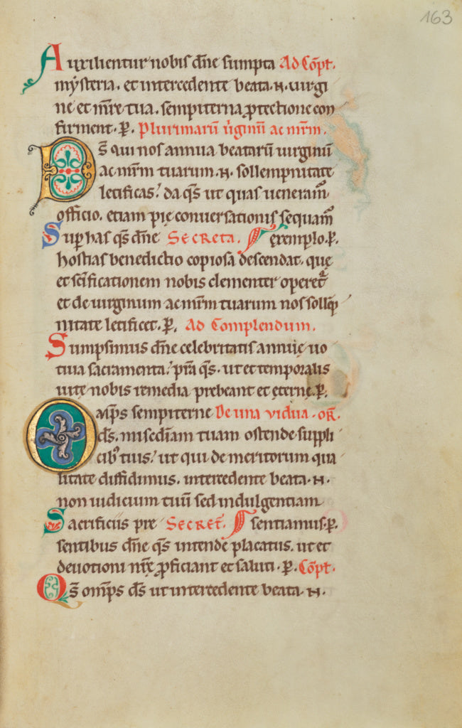 Unknown:Decorated Initial D; Decorated Initial O, Poster Print Wall Art
