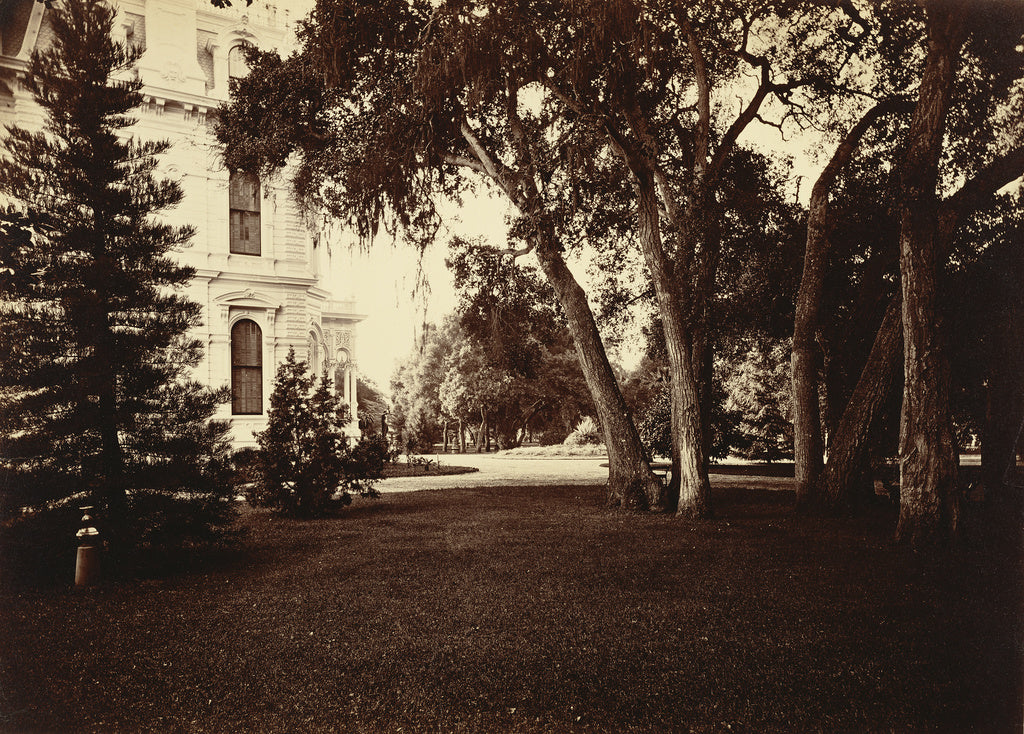 Carleton Watkins:[Thurlow Lodge - Lawn and House. From Barro, Poster Print Wall Art