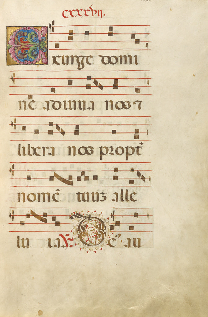 Unknown:Decorated Initial E; Decorated Initial D, Poster Print Wall Art