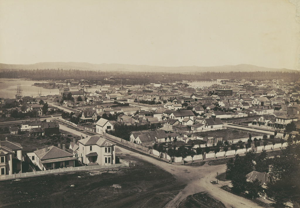 Carleton Watkins:[View in San Gabriel Valley, L.A. Co., Cal., Poster Print Wall Art