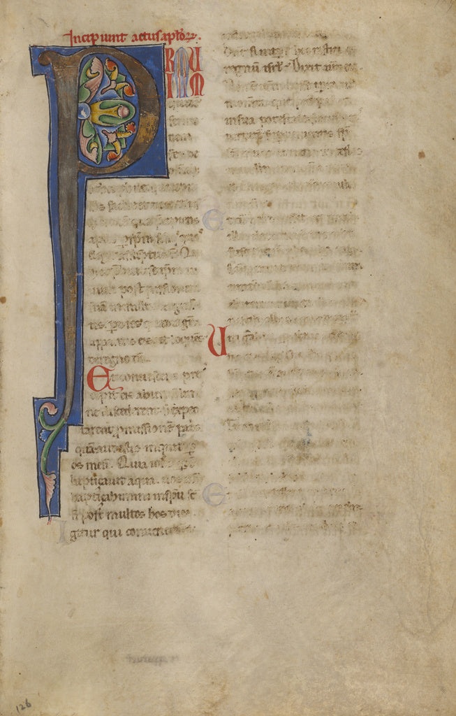 Unknown:Decorated Initial P,16x12"(A3)Poster