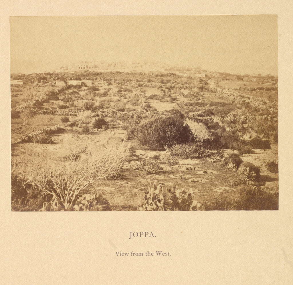 Francis Bedford:Joppa, View from the West, Poster Print Wall Art