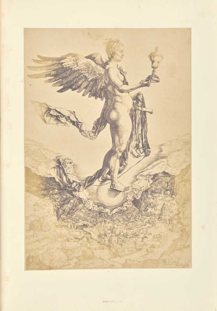 Bisson Frères:La Grande fortune, Poster Print Wall Art