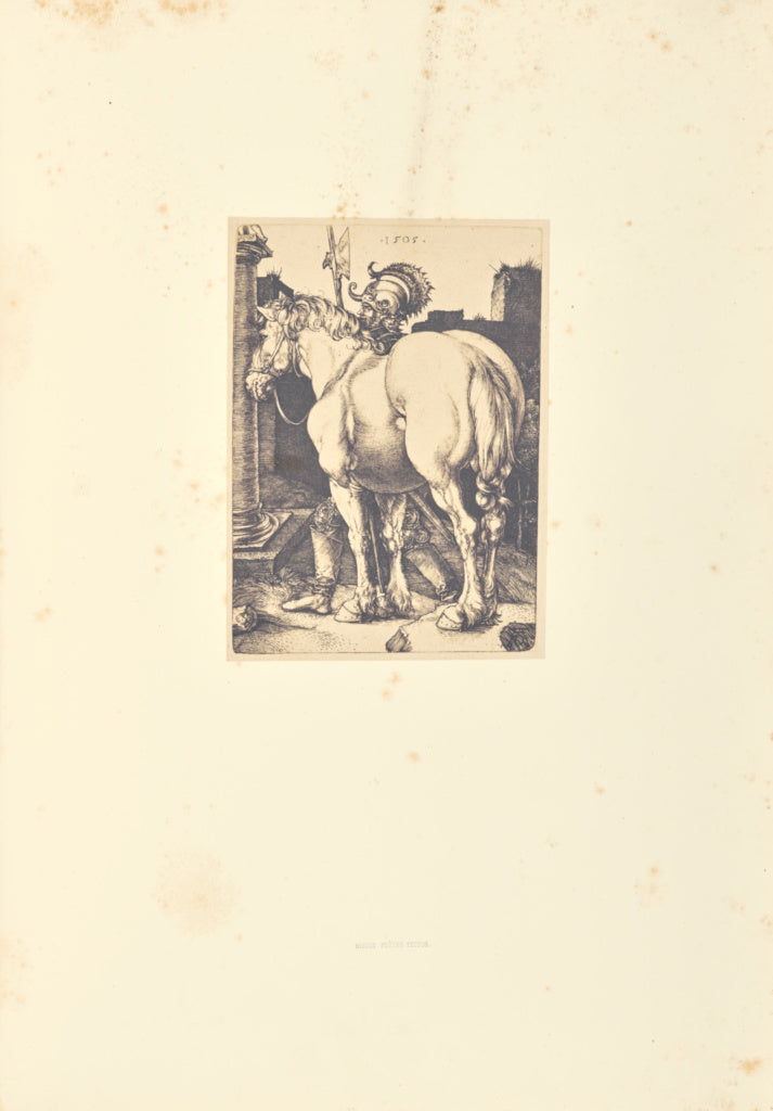 Bisson Frères:Le Grand cheval, Poster Print Wall Art