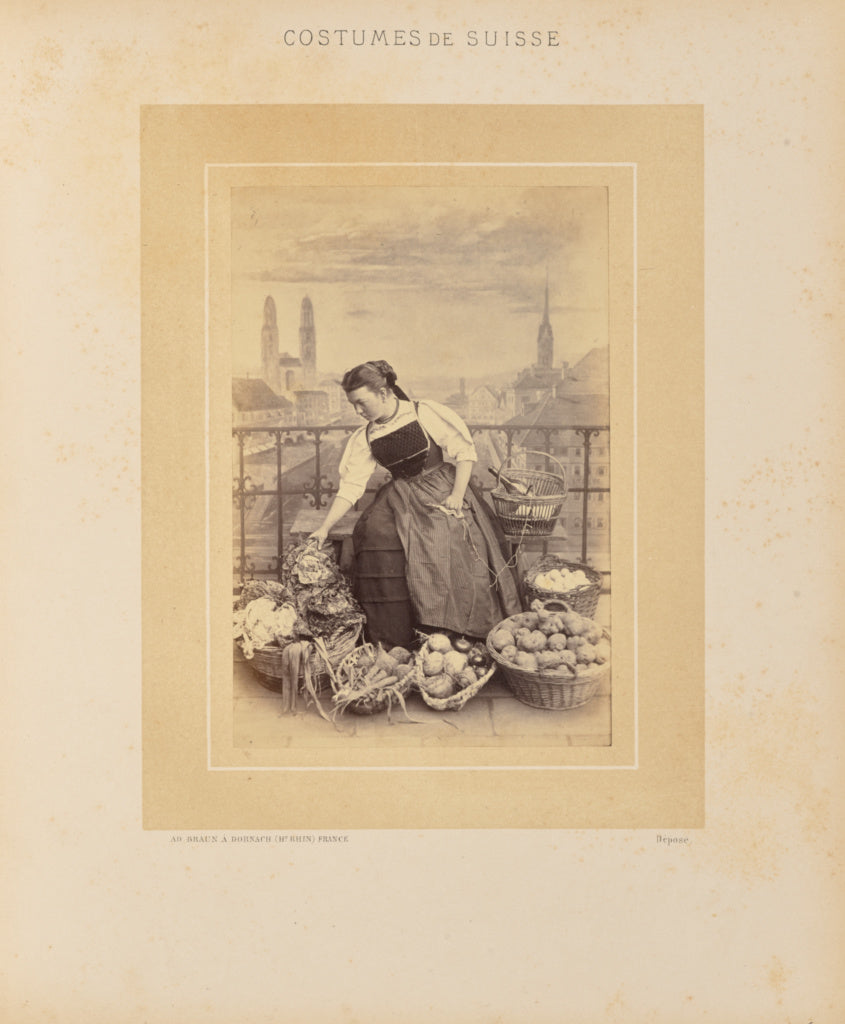 Adolphe Braun:Canton de Zurich, Poster Print Wall Art