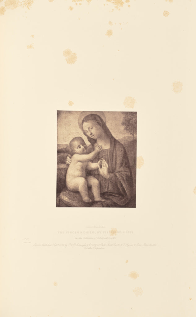 Caldesi & Montecchi:The Virgin and Child, by Filippino Lippi, Poster Print Wall Art