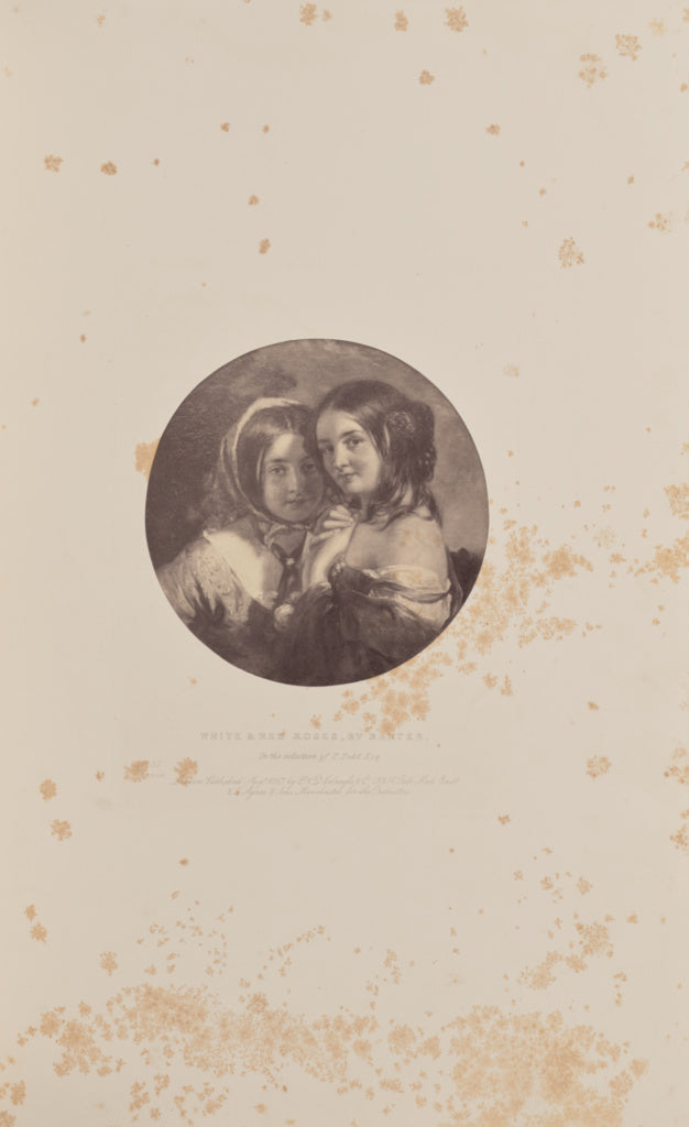 Caldesi & Montecchi:White and Red Roses, by Baxter, Poster Print Wall Art