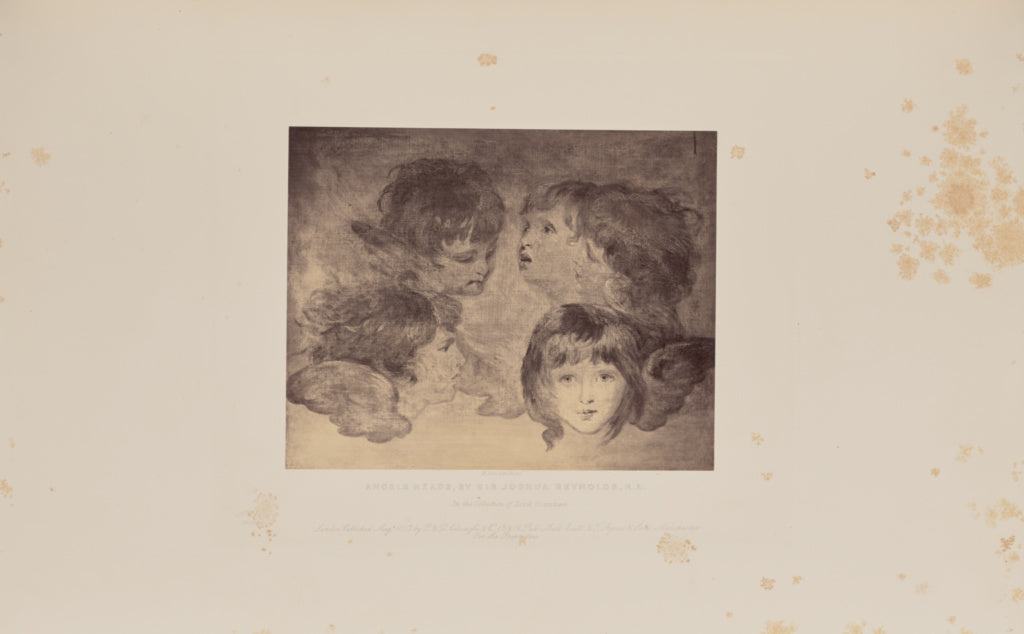 Robert Howlett:Angels Heads, by Sir Joshua Reynolds, R.A., Poster Print Wall Art