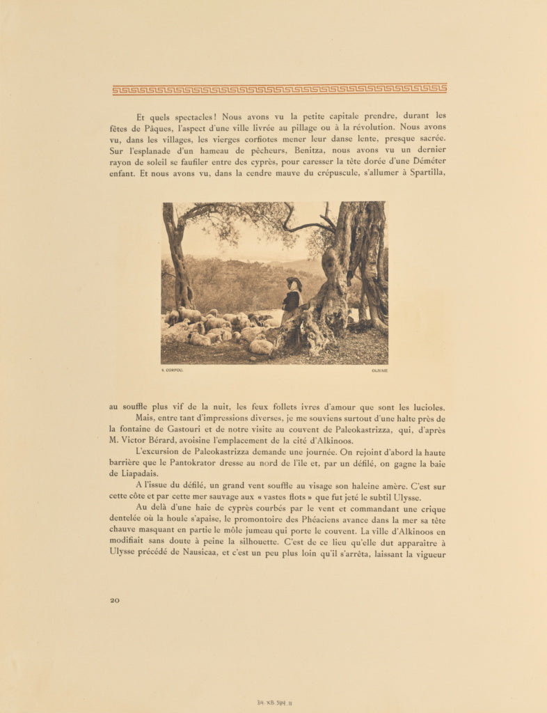 Frédéric Boissonnas:Corfou. Olivaie, Poster Print Wall Art