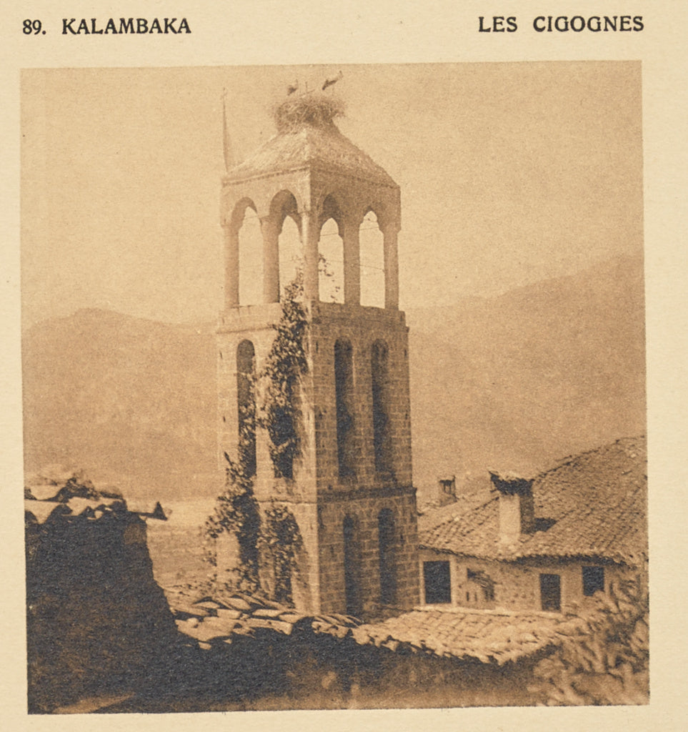 Frédéric Boissonnas:Kalambaka. Les cigognes, Poster Print Wall Art