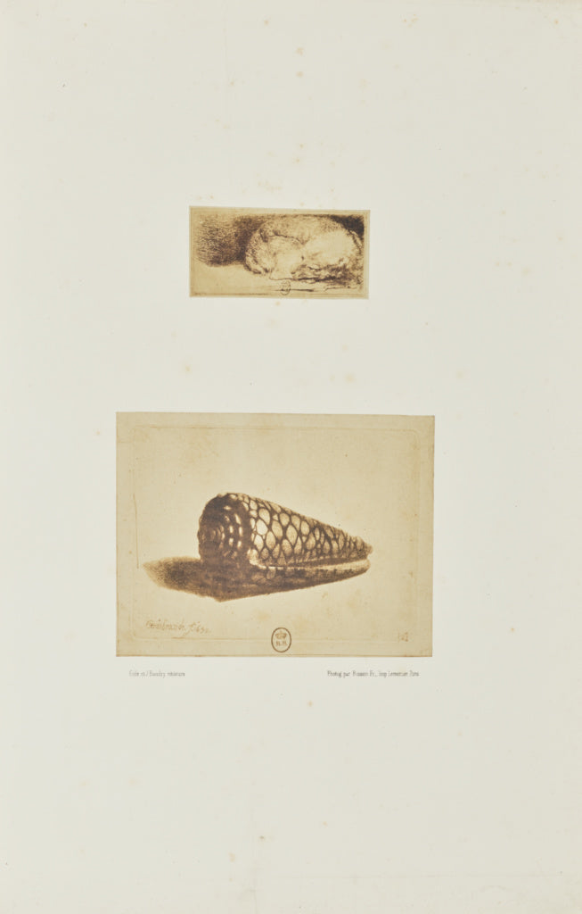 Bisson Frères:[Two etchings by Rembrandt: "Sleeping Puppy" , Poster Print Wall Art